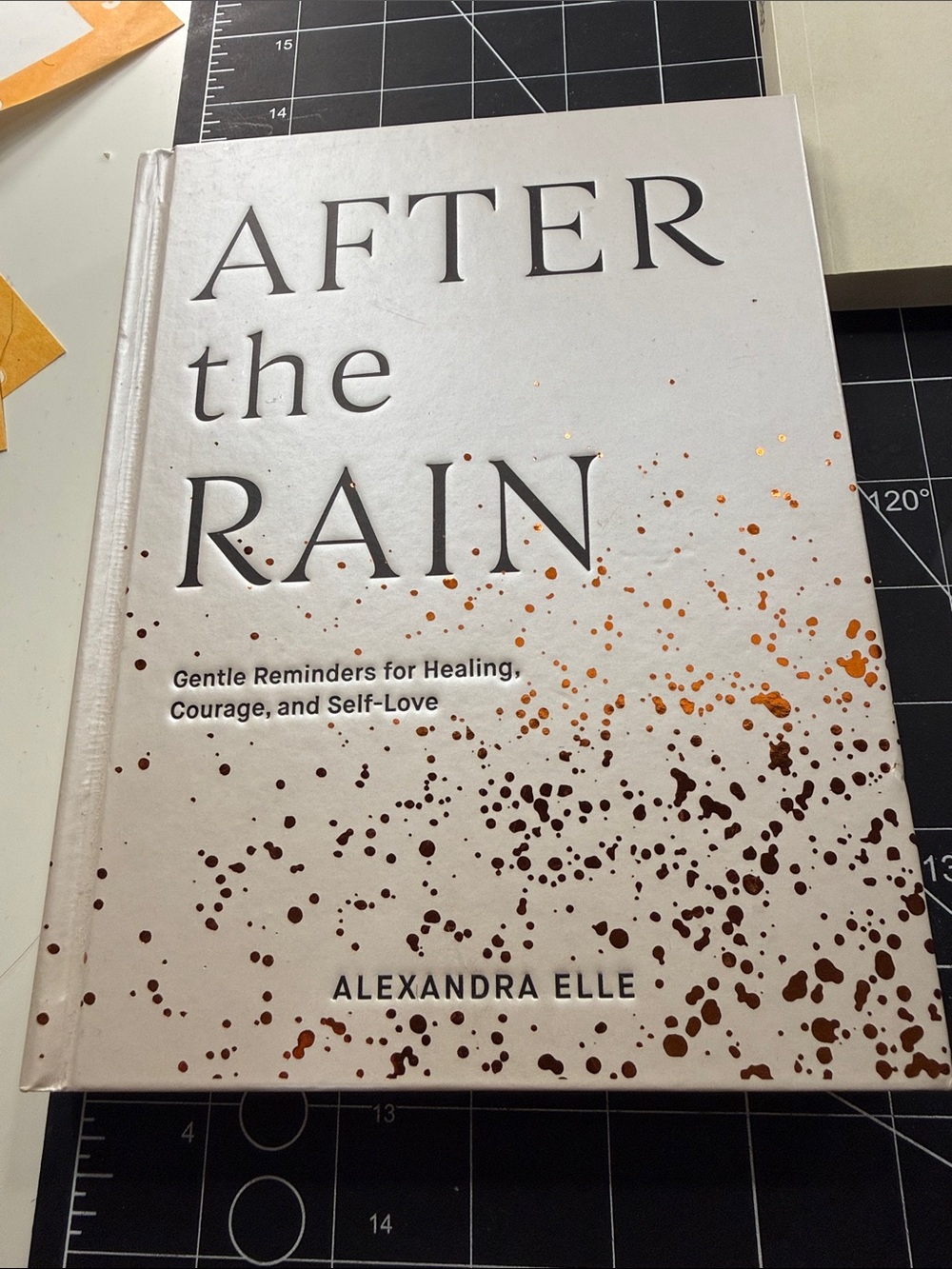 Books - Picture 4 of 7
